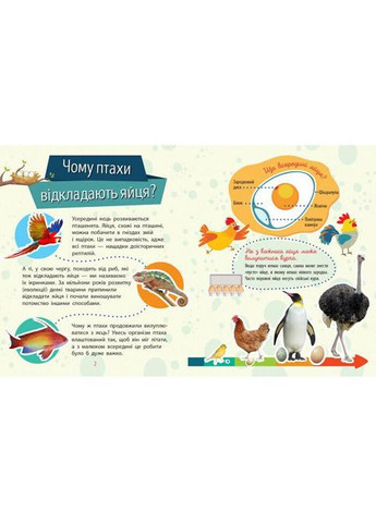 Учебная книжка Чомусики "Животные" 875008 вопросы и ответы No Brand (362571256)