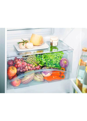 Холодильник CTE2531 з верхньою мороз., 140x55x63, холод.відд.-189л, мороз.відд.-44л, 2 дв., A+, ST, LIEBHERR (364275117)