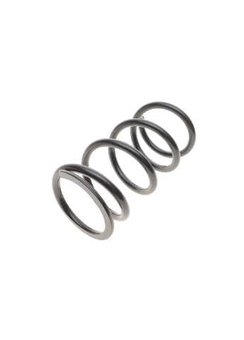 Пружини підвіски ПРУЖИНА ЗАДНЯЯ TOYOTA RAV4 3-5 DOORS 4/94-00 4292544-ua Lesjofors (366107924)