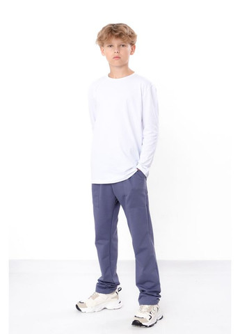 Серые повседневный демисезонные брюки Носи своє