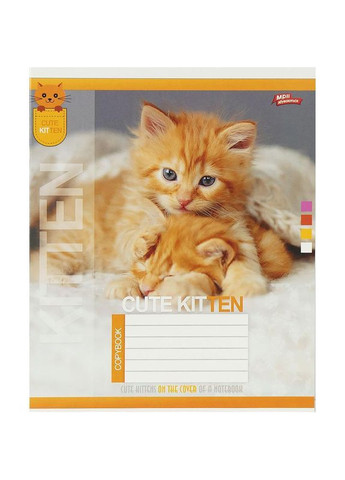 Тетрадь 24 л. клеточка "МЕЧТЫ" / Cute Kitten Мрії Збуваються (351904428)