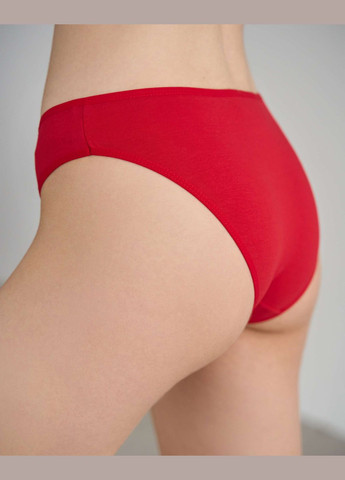 Женские трусики-слип хлпковые, микс с котиками 5 шт Nicoletta (340462232)