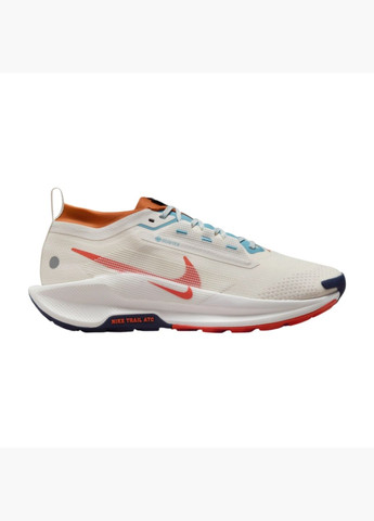 Бежеві кросівки чоловічі pegasus trail 5 gore-tex beige fq0908-003 Nike