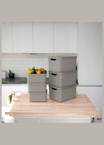 Контейнер для хранения вещей с крышкой Jive 5 л (10522) Rotho (334713624)