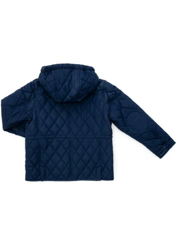 Темно-синя демісезонна куртка демісезонна з капюшоном (sicmy-g307-128b-blue) Snowimage