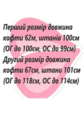 Демисезонный женский велюровый спортивный костюм Nositi (379040904)