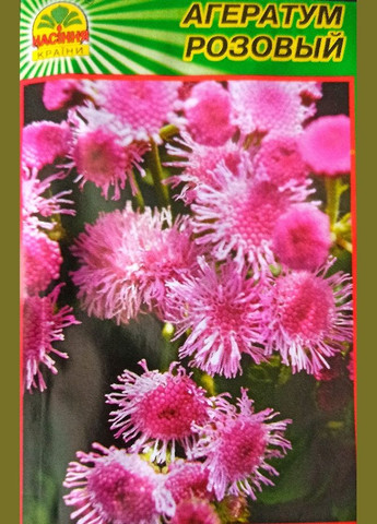 Насіння Агератум рожевий 1000 шт. ( ) Насіння країни (299897809)