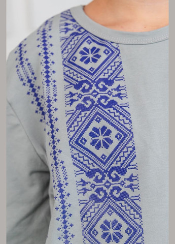 Сіра джемпер для хлопчика з принтом-вишивкою прямого крою hc (h001-6363-1) (302447877)