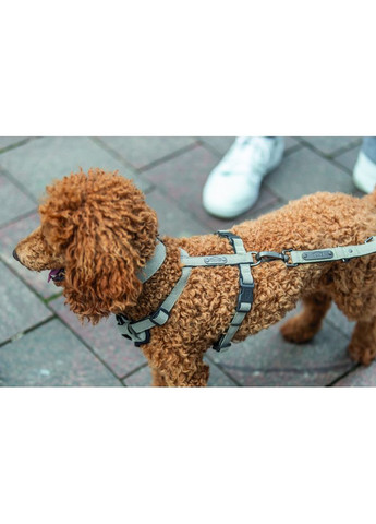Шлейка CityStyle H-harness для собак хлопок M–L 52–75 см 20 мм светло-серая Trixie (372505056)