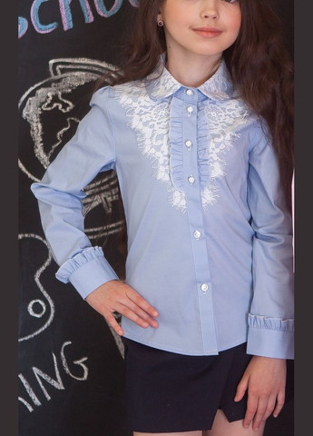 Голубая блузка Світ блуз демисезонная