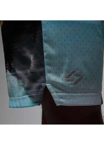 Шорты мужские Sprt Mesh Blue Air Jordan (366039216)