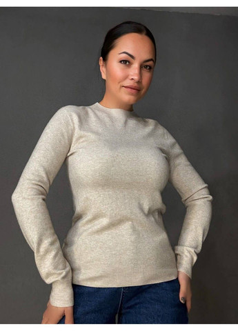 Бежевий демісезонний светр жіночий a-n 2403 водолазка гольф базовий з круглим горлом No Brand