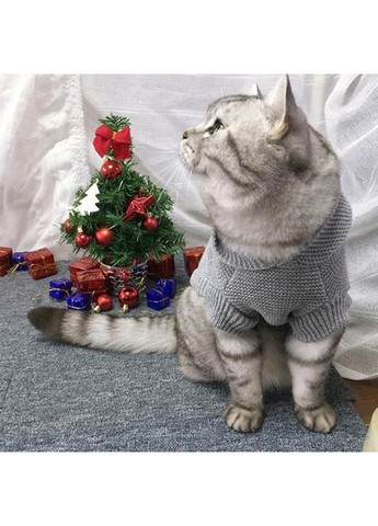 Костюм із зіркою L, No Brand (368896085)