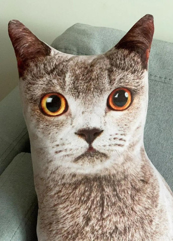 М'яка іграшка-подушка Сірий котик британець з реалістичним принтом та великими очима 50 см My Kigu (373188469)