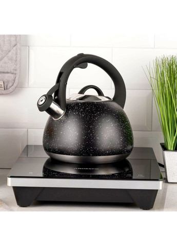 Чайник нержавеющая сталь 2.5 л Gemini Ardesto (364195660)