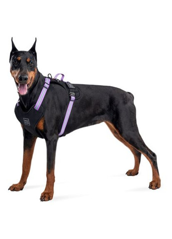 Шлей для собак Nylon безопасен с QR паспортом L фиолетовый (52509) WAUDOG Nylon безпечна з QR паспортом L фіолетова (366487333)