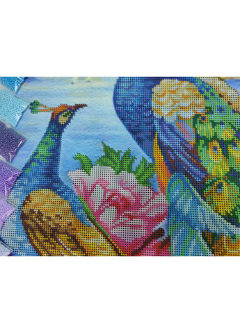 НАБОР ARHIBIS 828 Райские павлины, набор для вышивания бисером картины Dana (369666226)