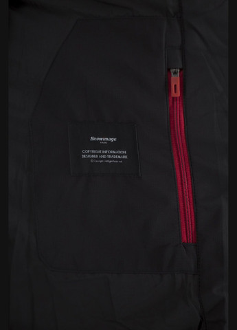 Чорна зимня чоловічий зимовий пуховик: біопух, двокольоровий, спортивний стиль (, ), 45835 Snow Image