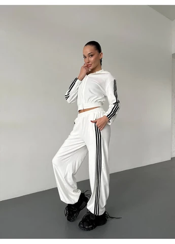 Жіночий велюровий костюм з капюшоном Fashion (382028479)