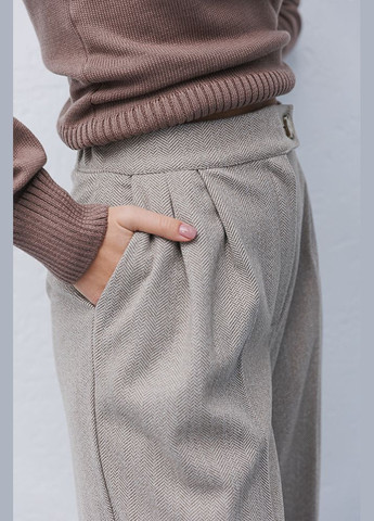 Жіночі теплі штани класичні Arjen (289385643)