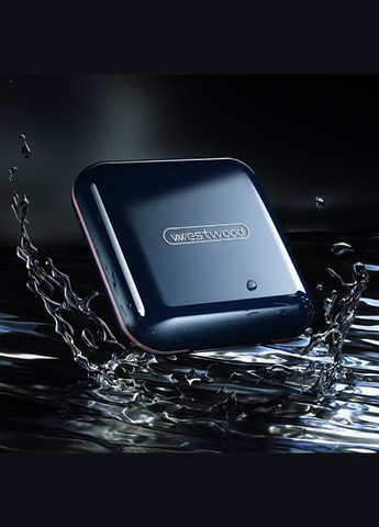 Таблетница пластиковая 8325 2.5х8х8 см синяя No Brand (364496471)