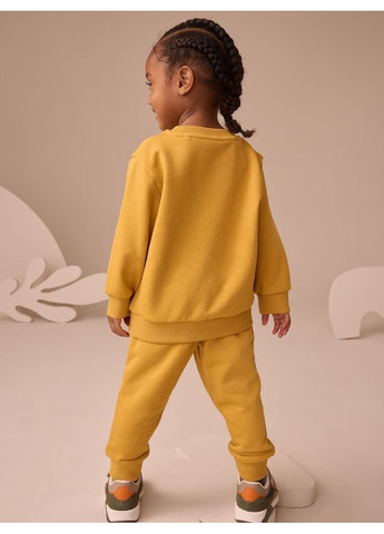 Охра демісезонний спортивний костюм на флісі next Next Trend