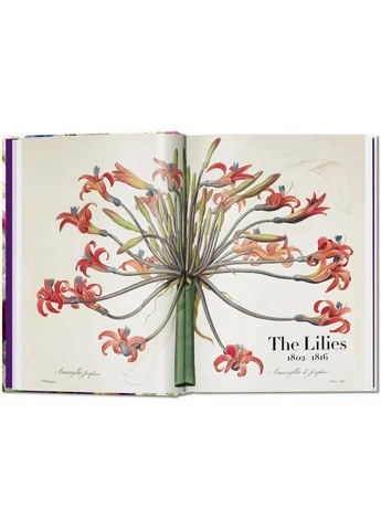 Redouté. The Book of Flowers Taschen (370066425)