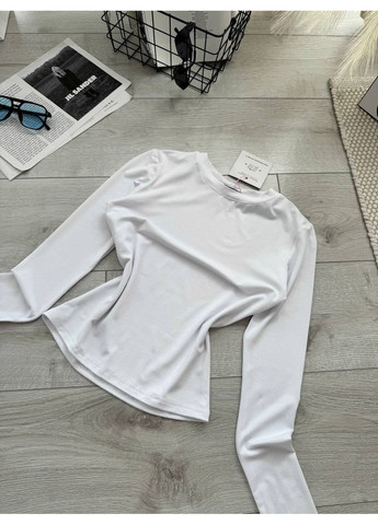 Базовий жіночий лонгслів віскоза No Brand (361030747)