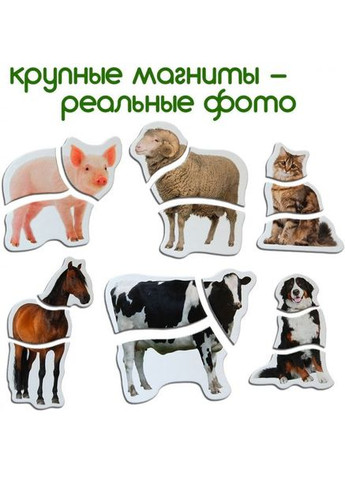 Магнитные пазлы "Ферма" ML4031-19 EN, 18 крупных магнитов No Brand (333943259)