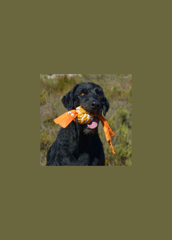 Игрушка для собак Cowboyz оранжевая L 4289713 ROGZ (269341780)
