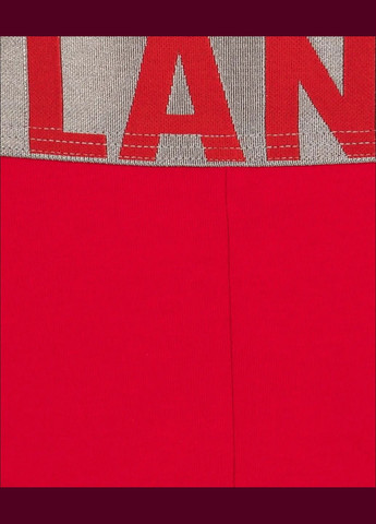 Мужские трусы слип Atlantic Спорт (300368382)