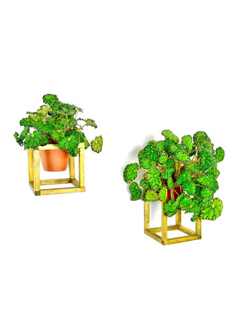 Полиця настінна для квітів з дерева Орізонті model A каррі (ЦВС-100803) No Brand (328226291)