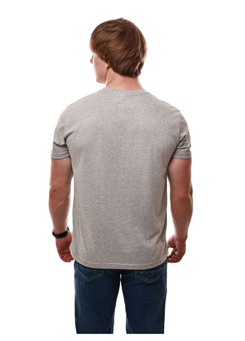 Сіра футболка чоловіча Dioni