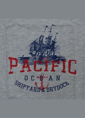 Синяя всесезон пижама детская (футболка с длинными рукавами + брюки) (турция) 116-152 см синяя (0332) футболка + брюки Sevim