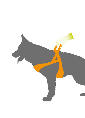 Шлея для собак Sport Dog P S нейлон A: 48 см B: 58-71 см 78004619 Ferplast (323224660)