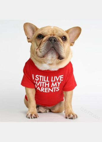 Футболка для котів Pet Style "I steel" Червона L No Brand - (323233492)