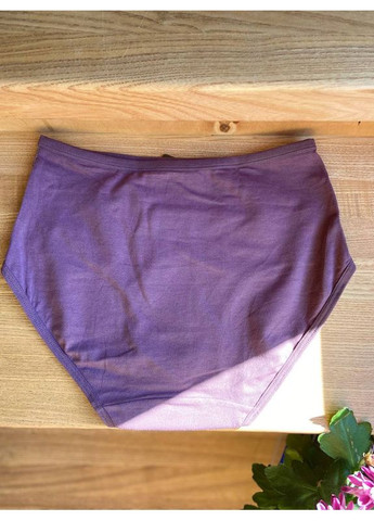 Хлопковые трусы с кружевом и высокой посадкой набор 3 шт. Beisdanna Сліп (361665799)