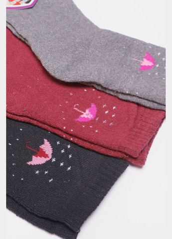 Комбіновані набір шкарпеток жіночих махрових 3 штуки Let's Shop малюнки (304609696)