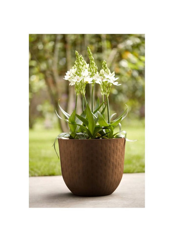 Вазон font grains 30х24см коричневый 480226 Elho (316625537)