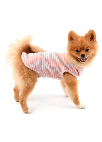 Костюм (футболка) для собак та котів у смужку, розмір XXL, No Brand (368710769)