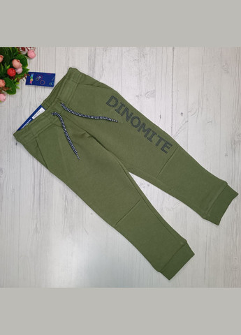 Зеленые кэжуал демисезонные брюки джоггеры Lupilu