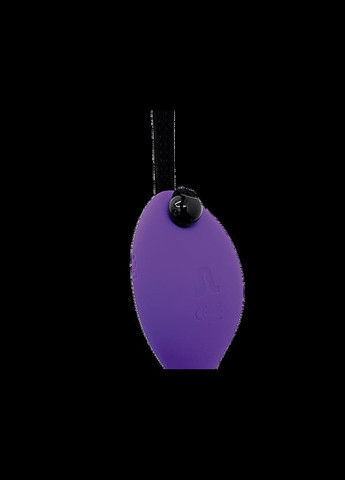 Вібратор під одяг Adrien Lostic Mr.Hook з пультом LRS AD10893 No Brand (303882156)