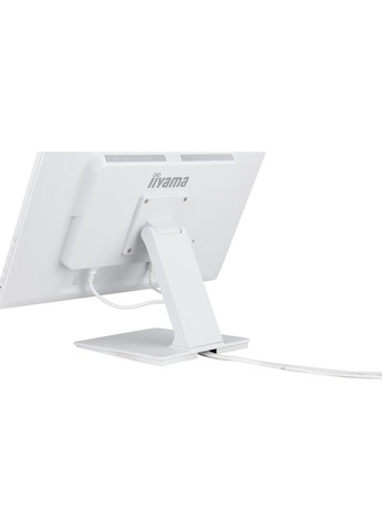 Монитор T2452MSC-W1 Iiyama (363976048)