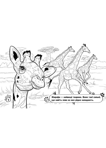 Дитяча розмальовка "Тварини у далеких краях" 583009, 16 сторінок Ranok Creative (366974024)
