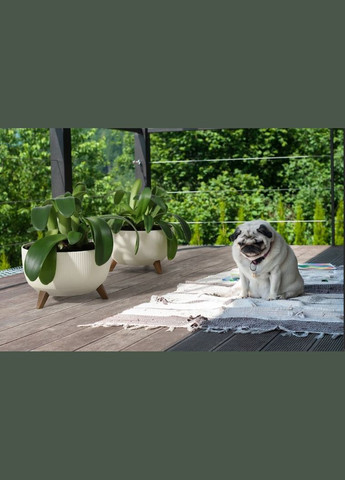 Чаша 290 белый джампер, пластик Lamela Рома (345726203)