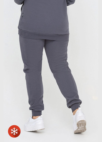 Утеплені штани RIDE-1 Garne (264295354)