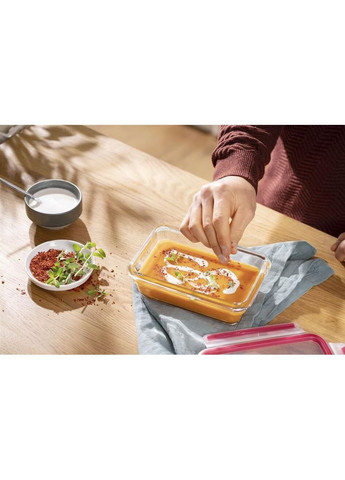 Форма універсальна з кришкою MasterSeal glass 0.7 л (N1040610) Tefal (351855456)