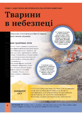 Дитяча енциклопедія довкілля No Brand (385329497)