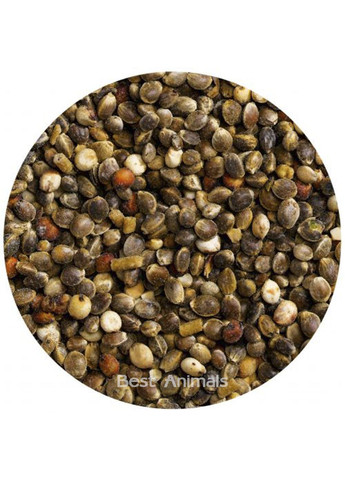 Вітамінізована добавка для декоративних великих та середніх птахів 25 г Vitakraft (354702003)