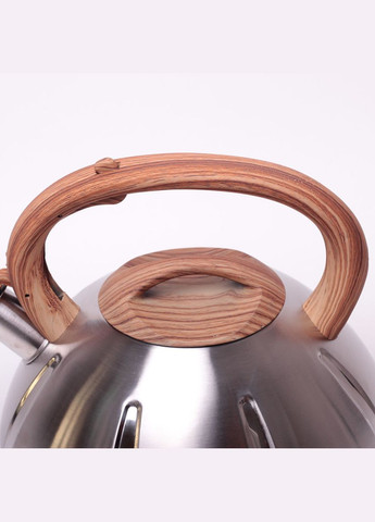 Чайник на 5 литров (Польша) из нержавеющей стали со свистком KM-0698 Kamille (342117513)